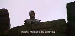I Fart In Your General Direction