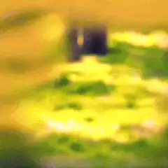 purple ostrick head bobbing