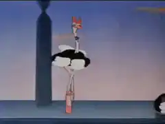 Ostrich ballerina dancing
