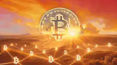Bitcoin Coinfather sunrise