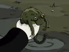Frog in a white shirt dancing