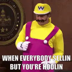 Wario When Everybody Sellin But You're Hodlin