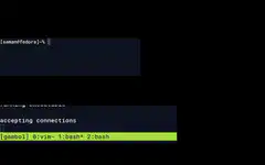 telnet client server demo