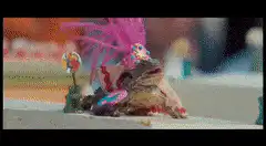 Bearded Dragon in Pink Wig