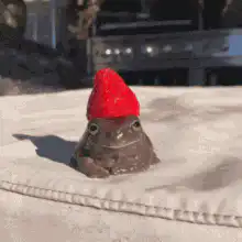 frog with strawberry hat