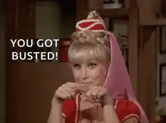 You Got Busted!
