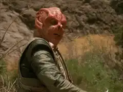Jaffa When The Walls Fell