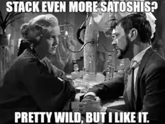 Pretty Wild But I Like It Bitcoin Meme