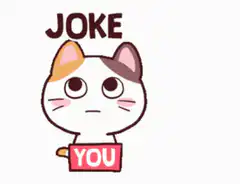 Joke You Cat Meme