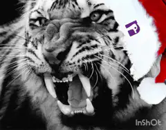 Tiger in Santa hat with glitch effect