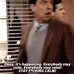 Michael Scott Stay Calm