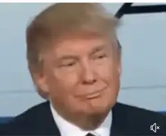 Donald Trump smirking and nodding