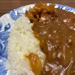 curry rice on blue floral plate