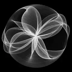 Rotating white floral mandala on black background