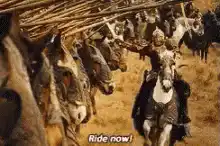 Viking riding a donkey