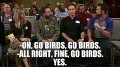 Go Birds Go Birds
