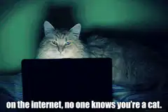 cat on internet no one knows you're a cat