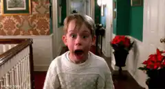 Macaulay Culkin screaming meme