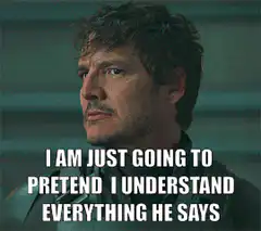 Pedro Pascal Pretend I Understand Meme