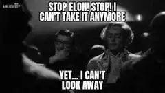 Stop Elon! Stop! I Can't Take It Anymore Yet I Can't Look Away