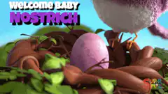 Baby ostrich hatching from egg
