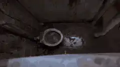 Trainspotting toilet scene