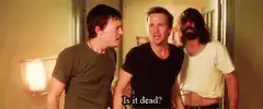 Is it dead? Three guys stare