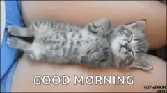Sleepy kitten good morning