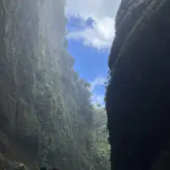 Looking up at mossy canyon walls and blue sky