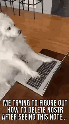 dog typing on laptop confused