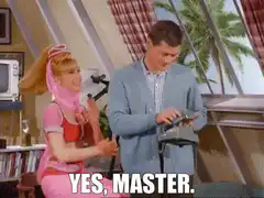 Yes Master Robot Maid