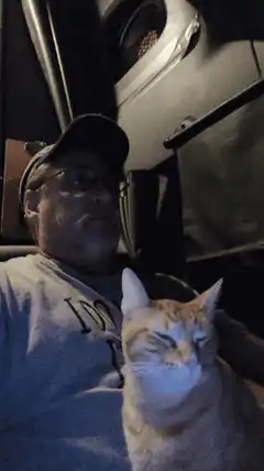 man and cat in car