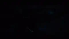 Fight Club title card animation