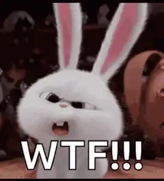 Snowball WTF!!!