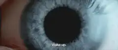 Close up of eye with rabbit vision