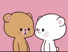Brown and white bear hugging