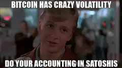 Bitcoin Volatility Satoshi Accounting