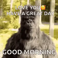 Good Morning Gorilla Thumbs Up
