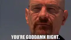 Walter White You're Goddamn Right