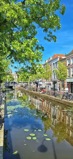 Canal with lily pads and historic buildings