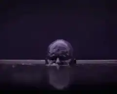 Bald man rising from dark water