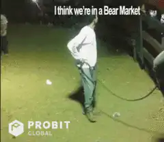 Man kicks bull bear market
