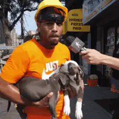 Man holding puppy says Bing Bong