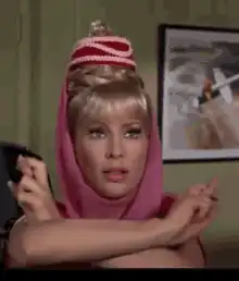 Barbara Eden as Jeannie