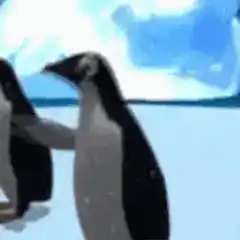 Penguins dancing on ice