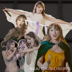 Taylor Swift concert collage