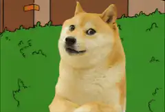 Doge shrinks behind a bush