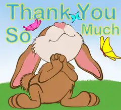 Thank You So Much Bunny