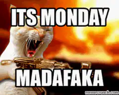 Its Monday Madafaka Cat