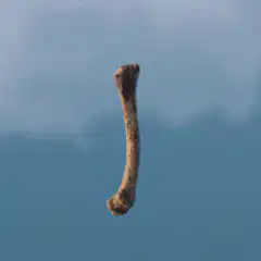Bone spinning in the sky